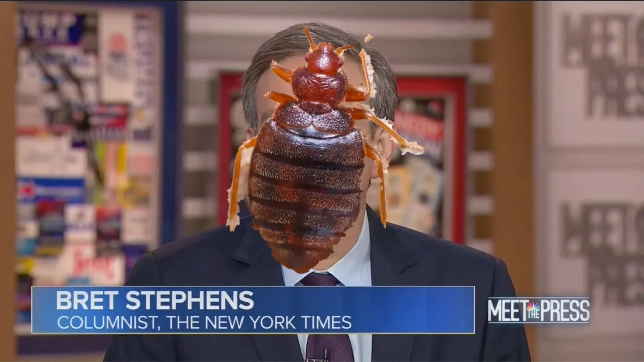 Bret Stephens with a budbug as a face.